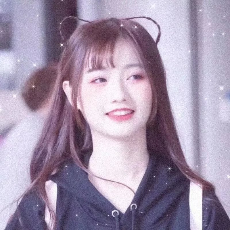 追鹰日记